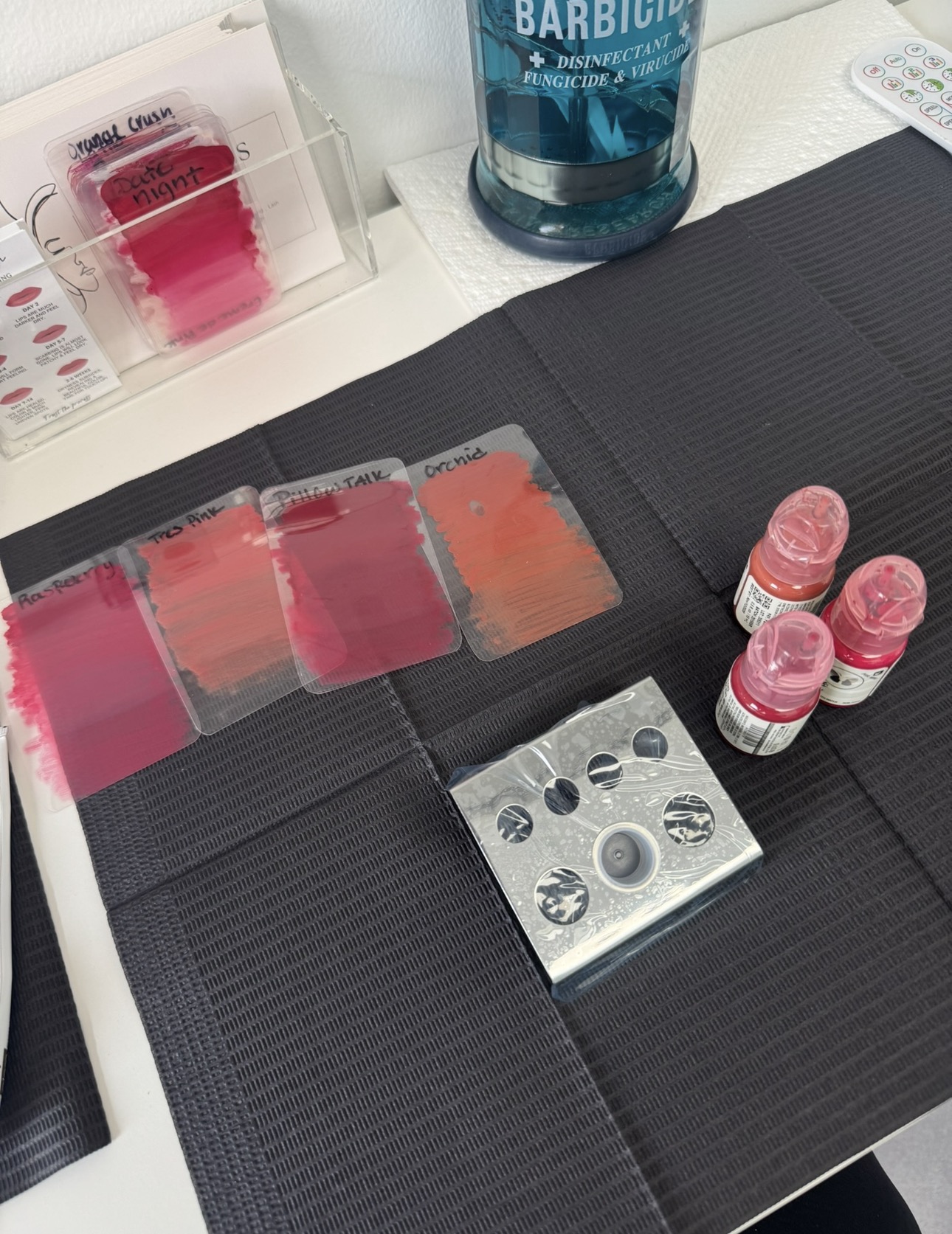Lip Blush Color Swatches