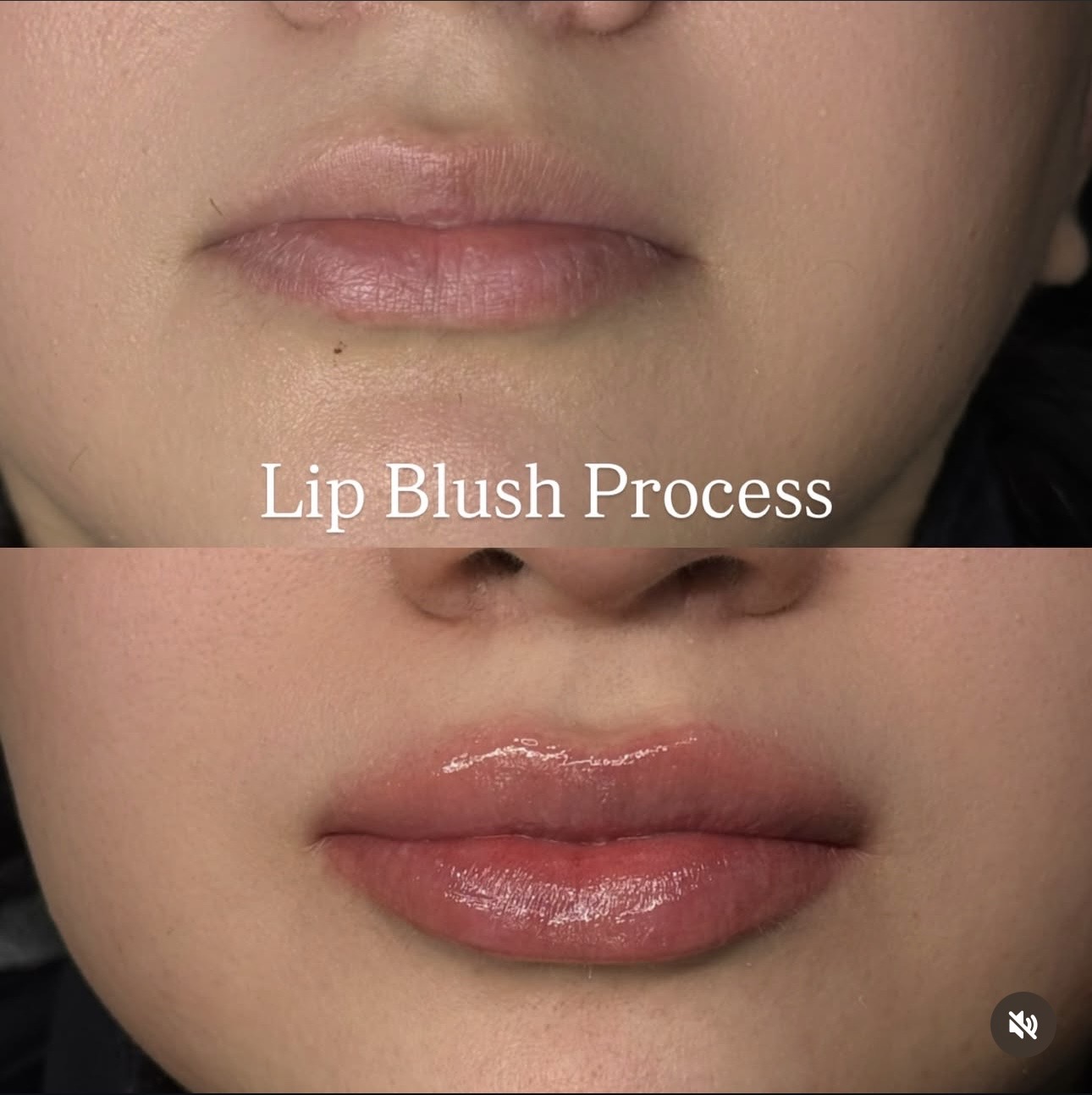 Lip Blush Process